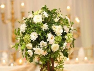 Gamage Flora & Wedding Decorations - Matara